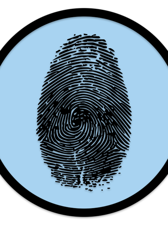 Fingerprint Biometrics Insights2Techinfo