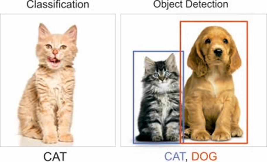 Temporal Activity Detection