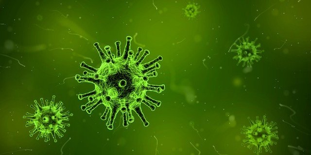 Epstein–Barr Virus